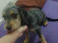 Não sei