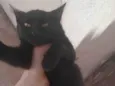 Não sei