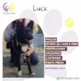 Luck