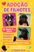 Sem nome