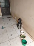 Gamora