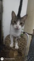Pequena porção