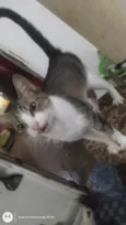 Pequena porção