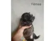 Sem nome