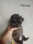 Sem nome
