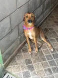 Nina