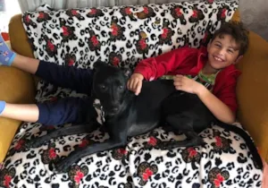Cachorro raça SRD-ViraLata idade 3 anos nome Beethoven