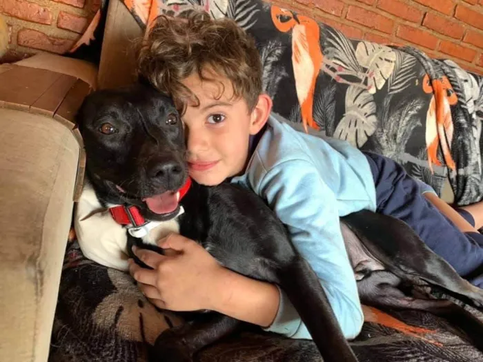Cachorro ra a SRD-ViraLata idade 3 anos nome Beethoven