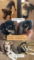 Nero/ Shakira/ Piquitucha/Roger