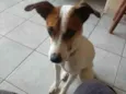 Menina