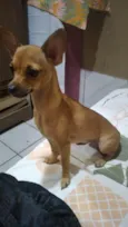 Princesa