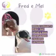 Fred e Mel