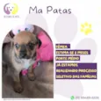 Ma Patas