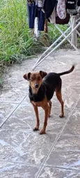 Nina