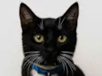 Tom