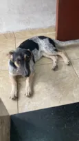 Nina