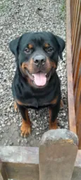Jack