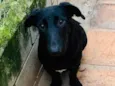 Paçoca