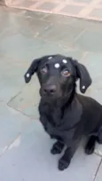 Rubi