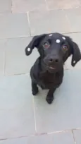 Rubi