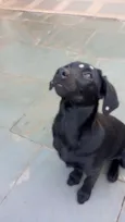 Rubi