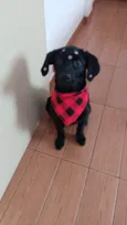 Rubi