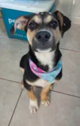 Zoe