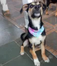 Zoe