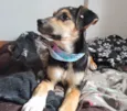 Zoe