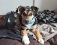 Zoe