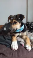 Zoe