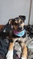 Zoe