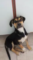 Zoe
