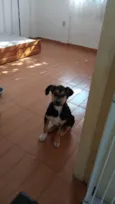Zoe
