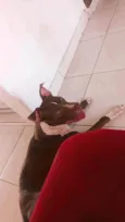 Ragnar 