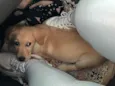 Marley