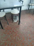 Sem nome