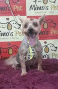 Fred