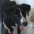 Lua