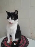 BERNARD