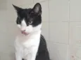 BERNARD