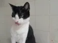 BERNARD