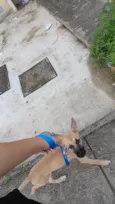 Loki
