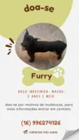 Furry