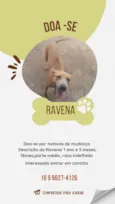 Ravena