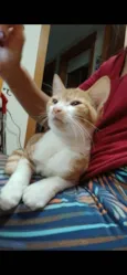 HUGO
