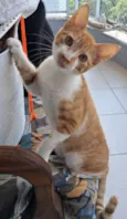 HUGO