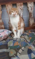 HUGO