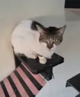 Sara