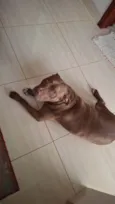 Horus